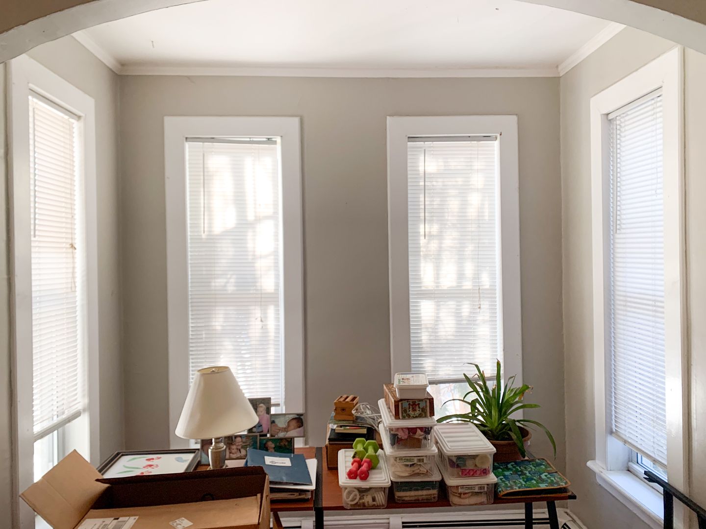 Northampton Apartment: 149 Elm Street