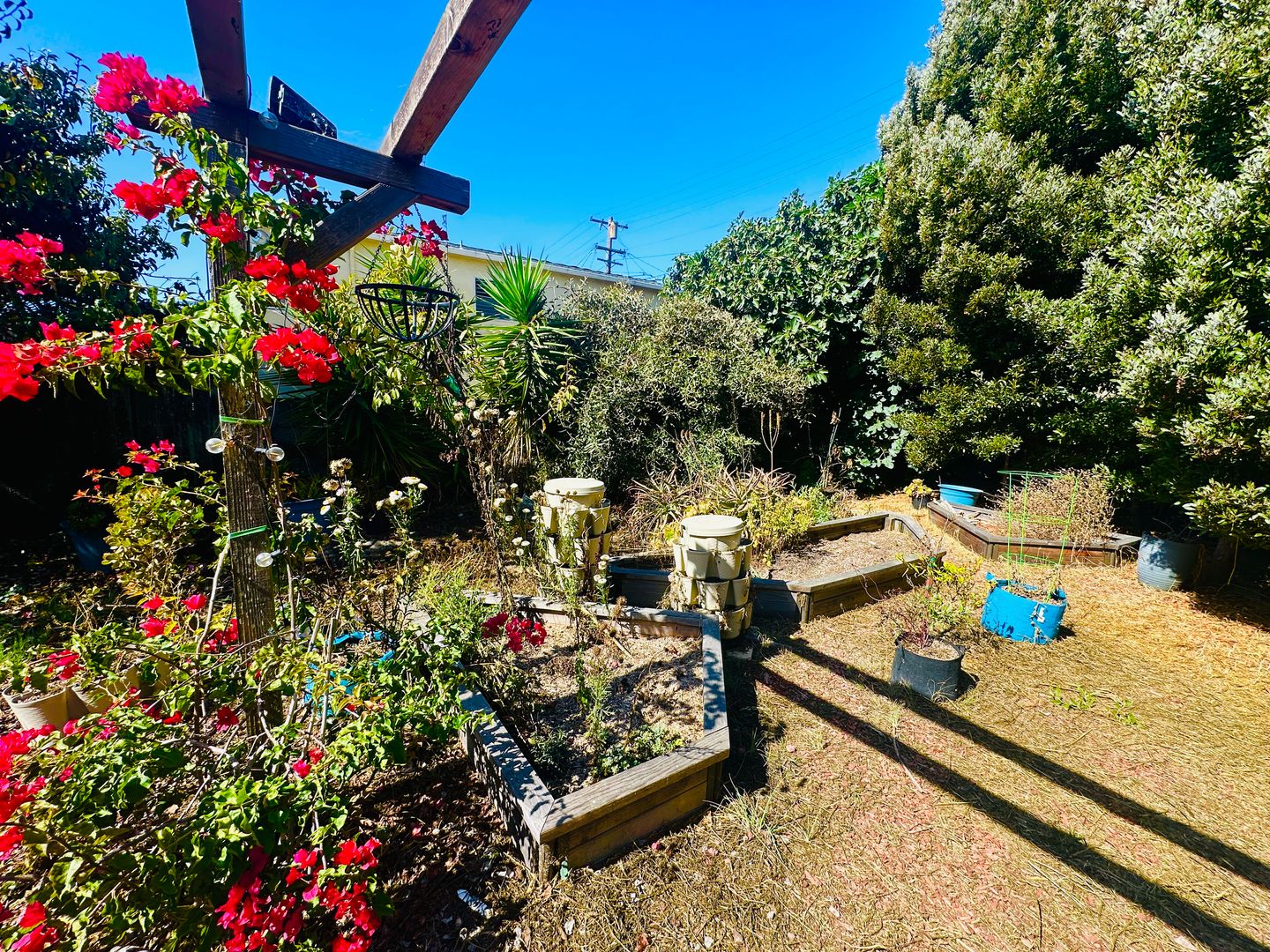 Berkeley Apartment: 1322 Ashby Ave