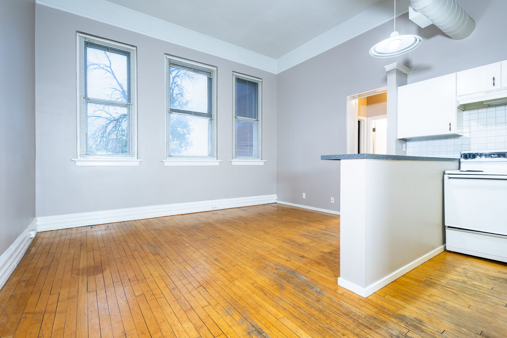 Omaha Apartment: 3819 Jones St