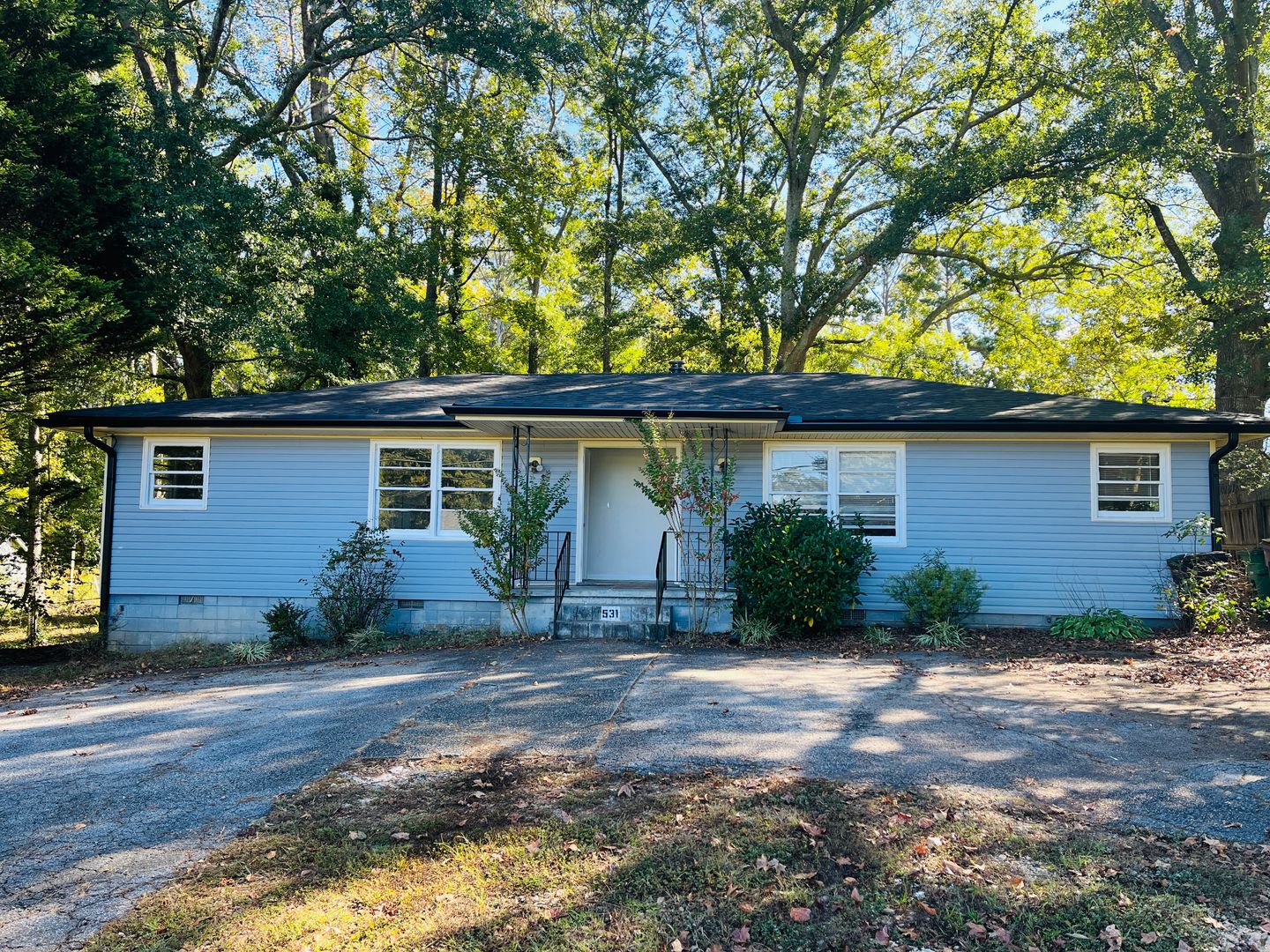 Palmetto Apartment: 531 Locke St