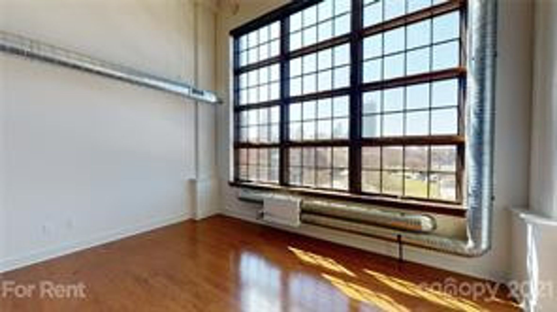 Charlotte House: 715 N Graham St #305