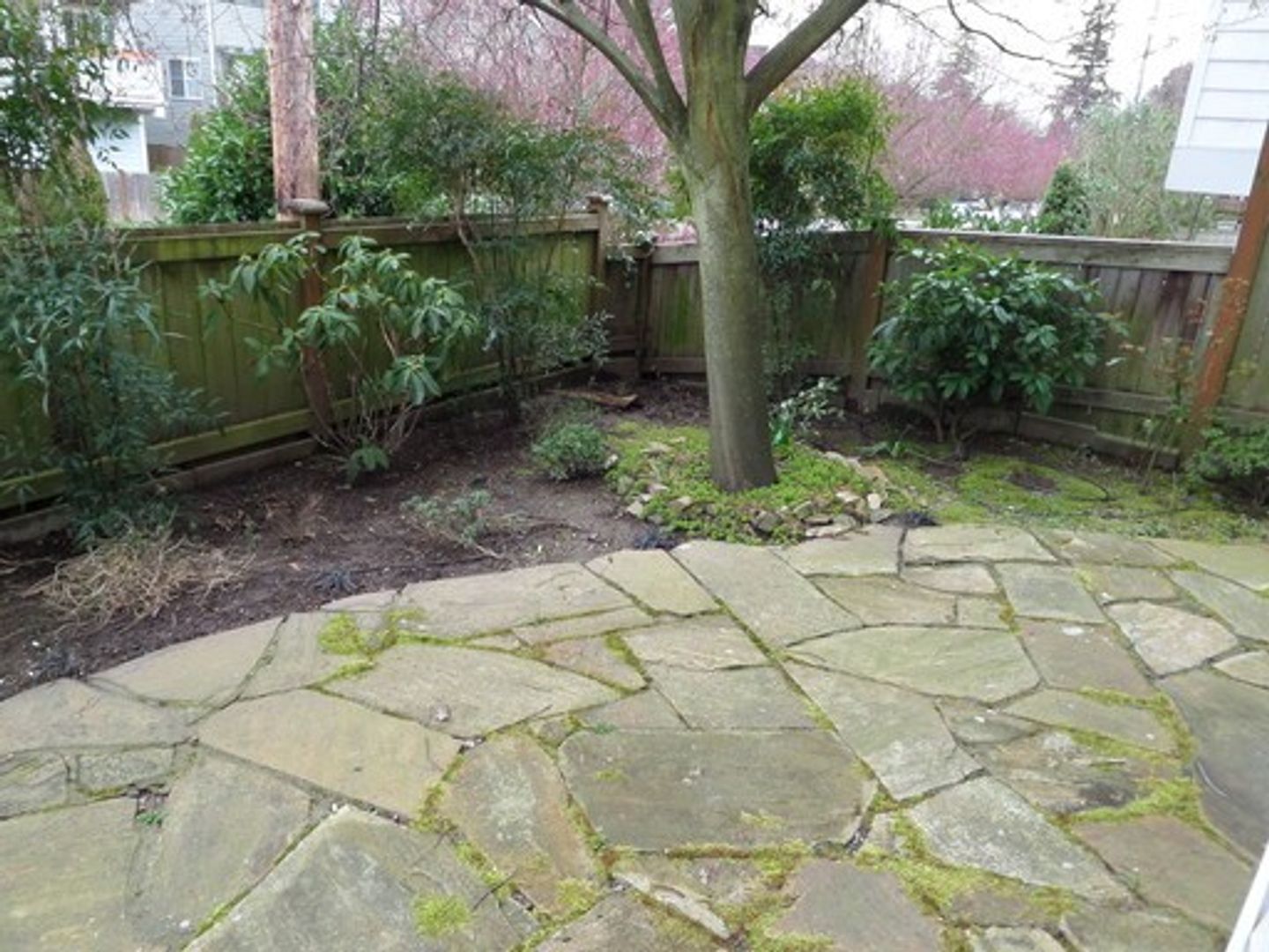 Seattle Townhome: 8533 Stone Ave N #A