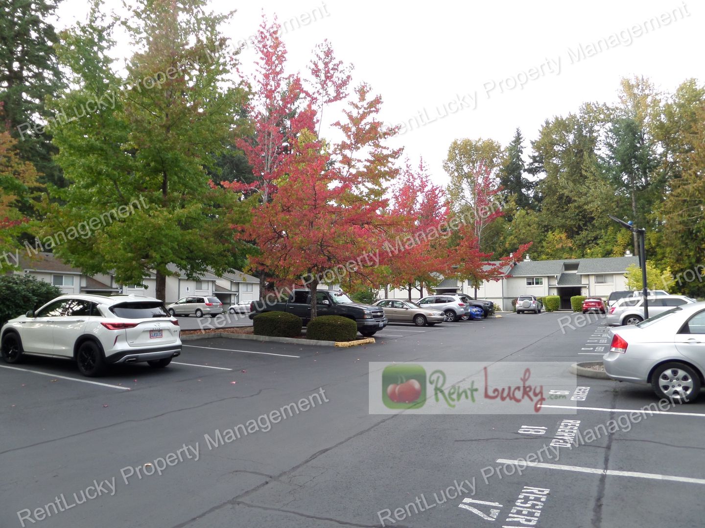 Federal Way Condo: 420 S 321st Pl, #H-6