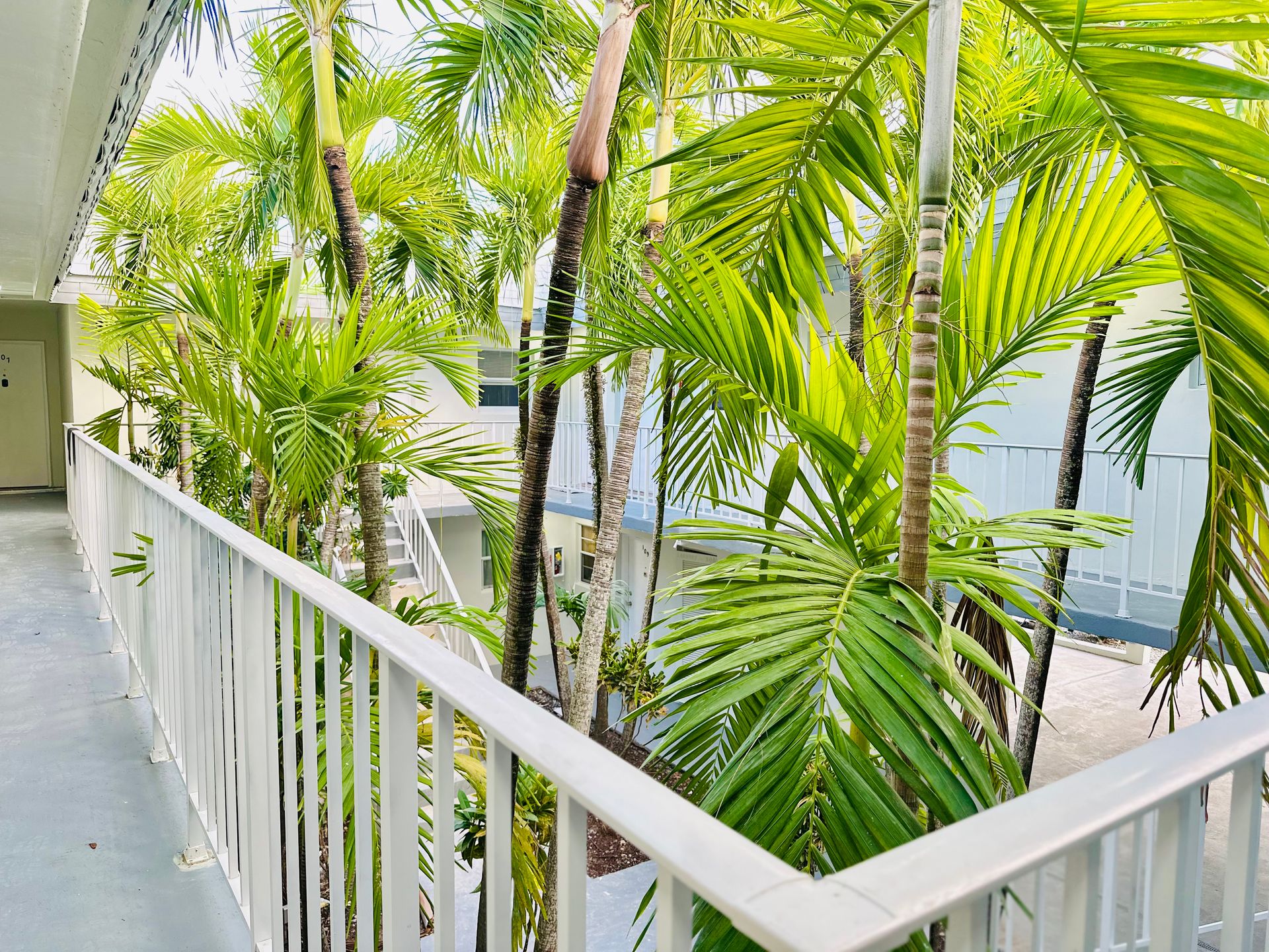 Avalon Apartments 5 of 12