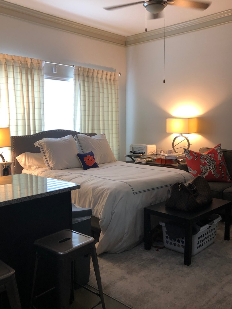 Clemson Apartment: 106 Calhoun Street