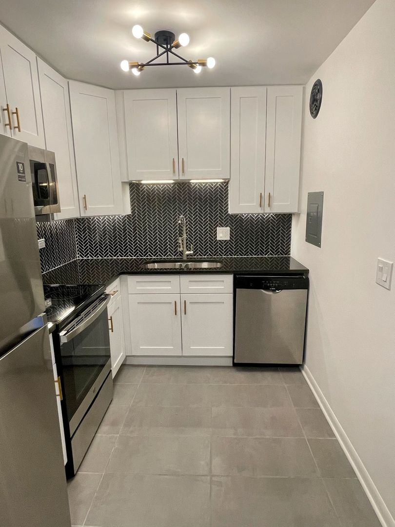 Oak Park Apartment: 720 Washington Blvd