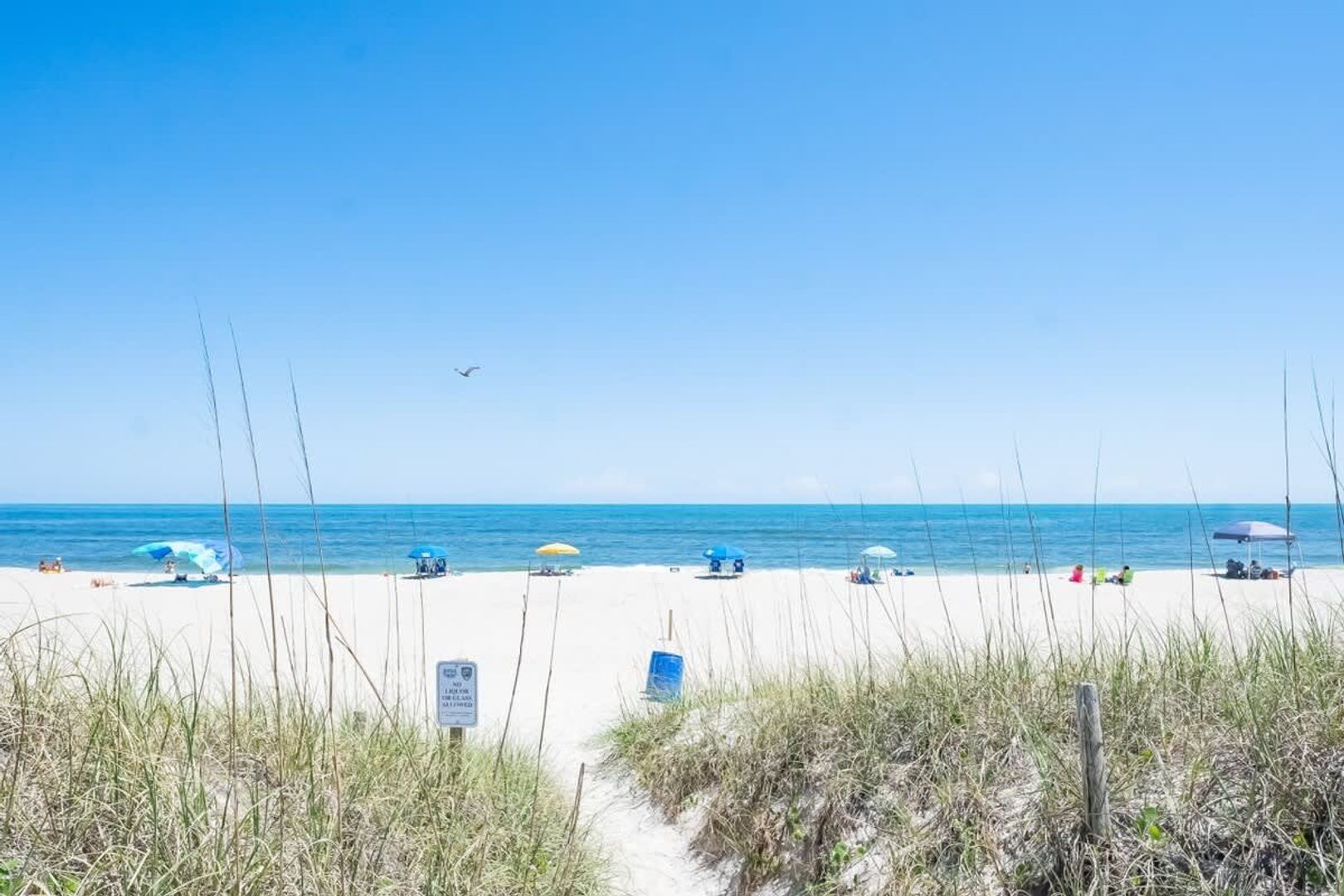 Carolina Beach Condo: 222 Carolina Beach Ave N