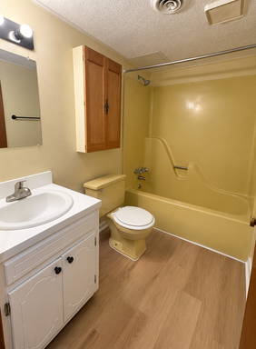 2 Bed 1 Bath Rental at 425 Audubon Dr - Apt. 3, Danville, VA – photo 1
