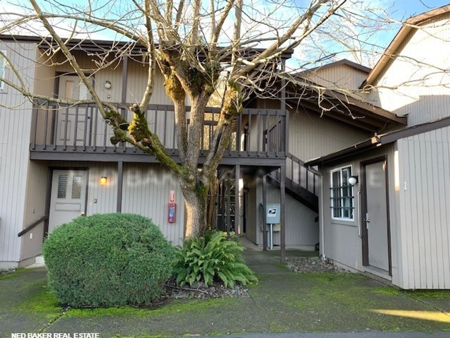 Salem Apartment: 2341 State St
