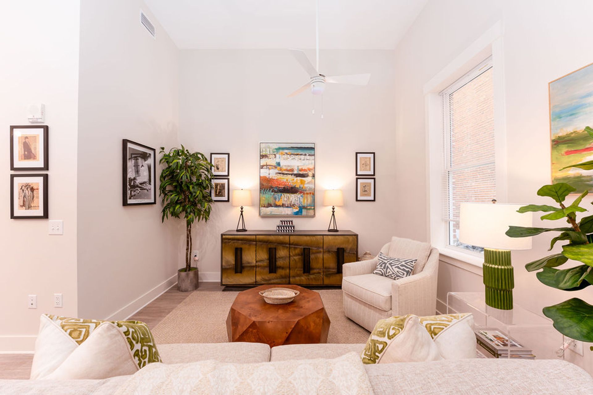 Macon Apartment: 462 Cherry Street