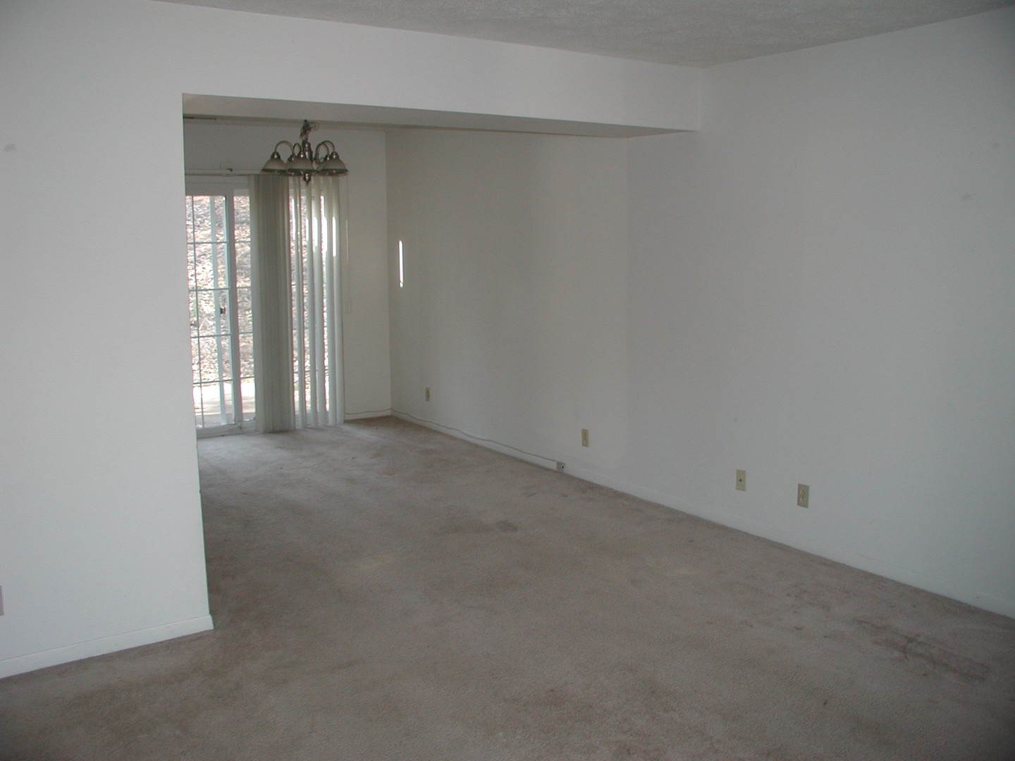 Charlottesville Apartment: Longwood Drive
