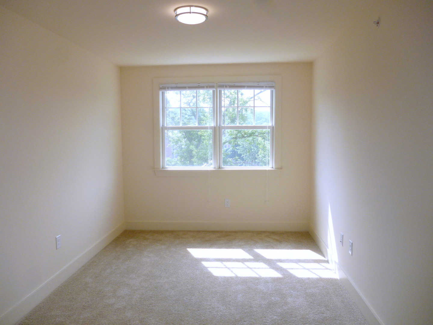 Charlottesville Apartment: 1029 Wertland Street