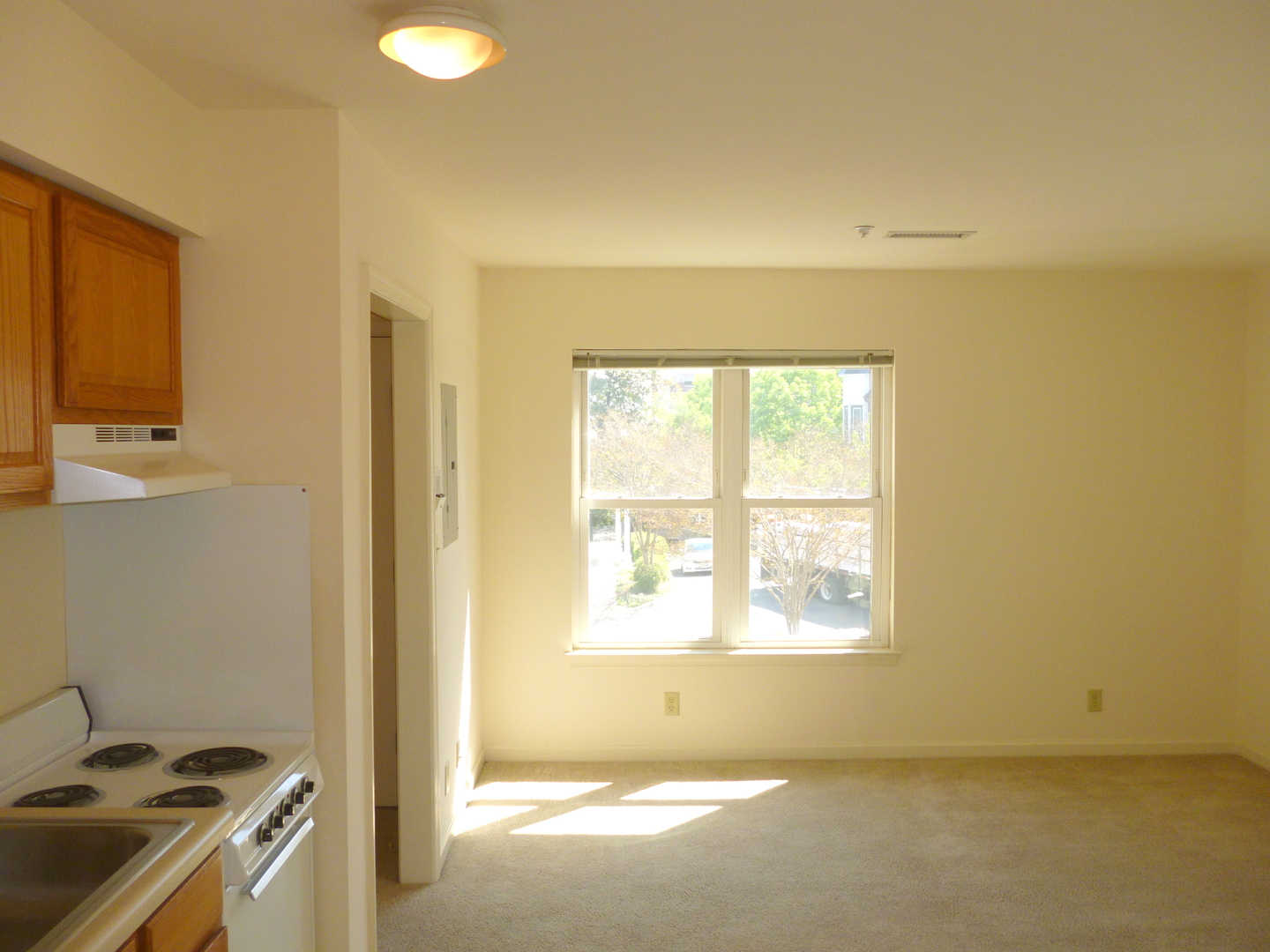 Charlottesville Apartment: 1027 Wertland  Street