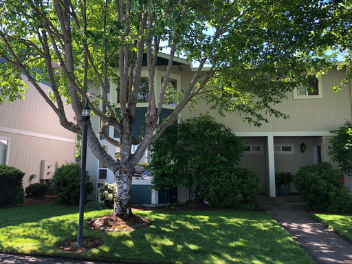3 Bedroom 2.5 Bath Condo-Gas Fireplace – photo 1