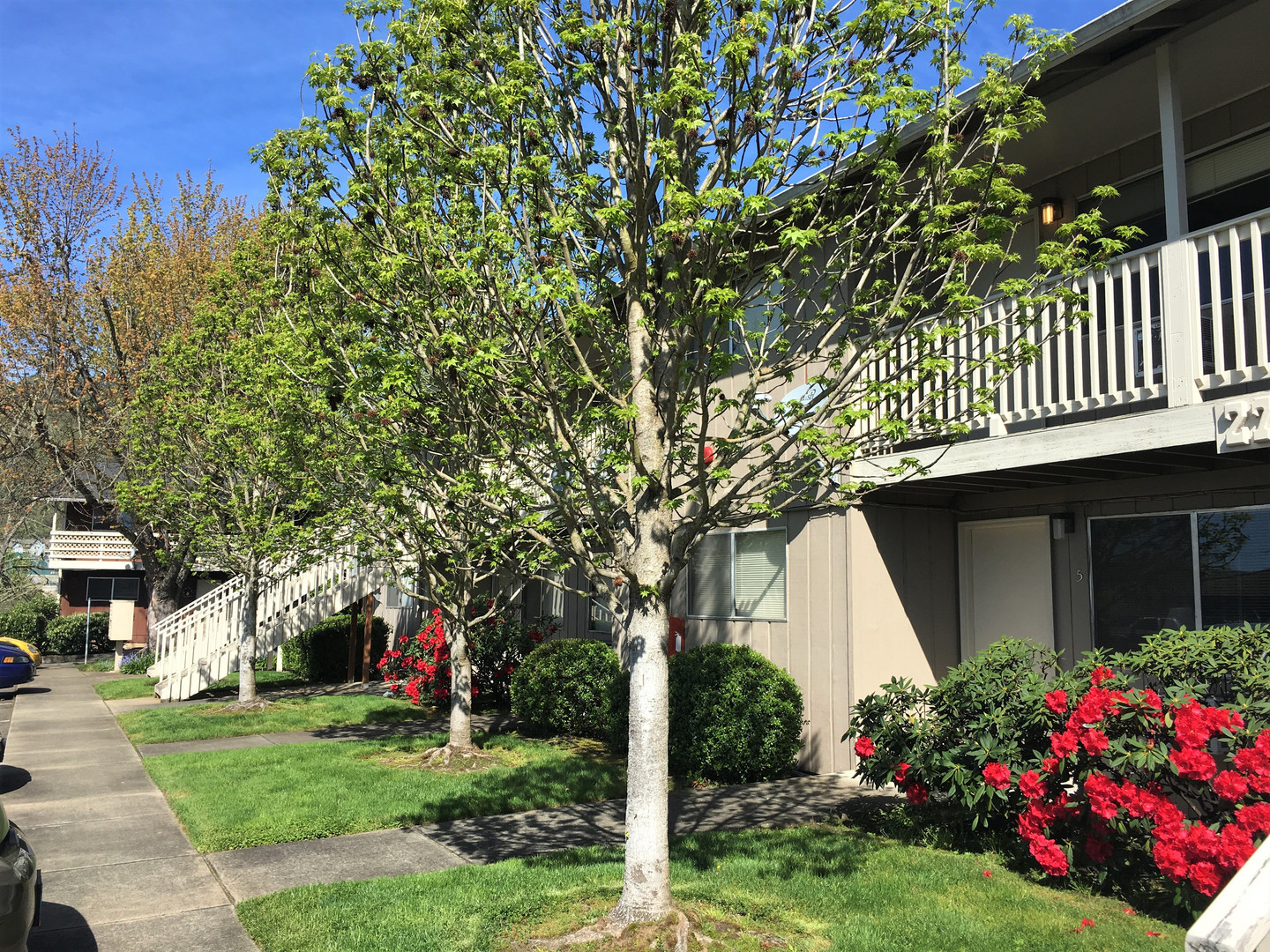 Roseburg Apartment: Garden Hills Apartments