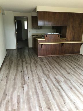 Quiet 1 Bedroom, 1 Bathroom, Apartment In The Heart Of Albany – photo 1