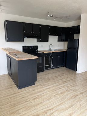 1 Bed Apartment w/ Washer and Dryer- Midtown Reno – photo 1