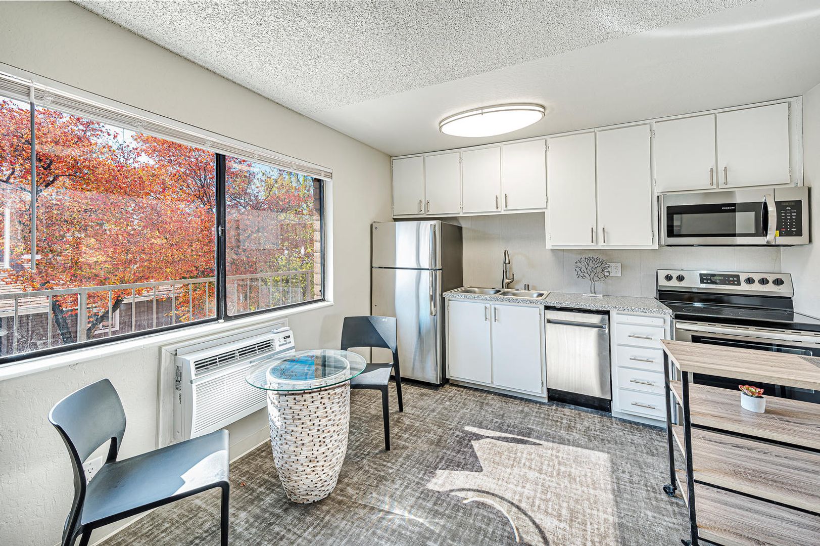 Reno Apartment: 831 Wheeler Avenue