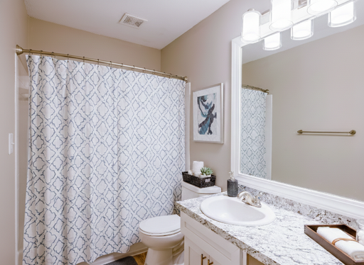 The Linden - 2 Bedroom / 1 Bathroom – photo 1