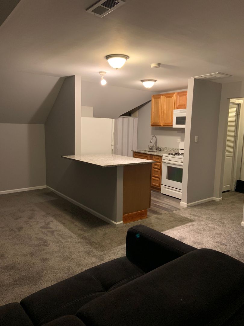 Chicago Apartment: 7147 S Princeton Avenue