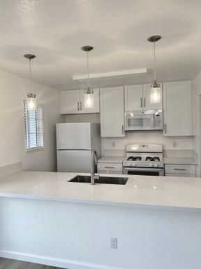 Fully Remodeled Gorgeous 2 Bedroom/2 Bathroom with Fireplace
