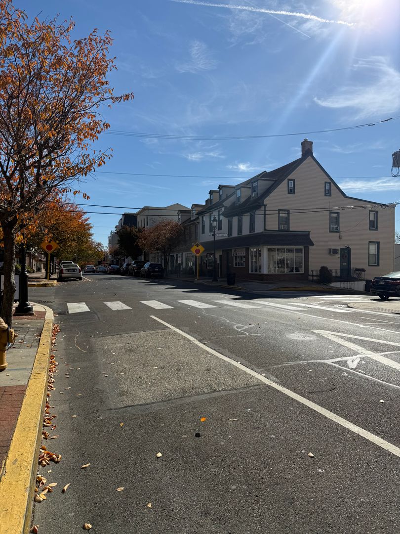 Bristol Townhome: 215 Mill Street