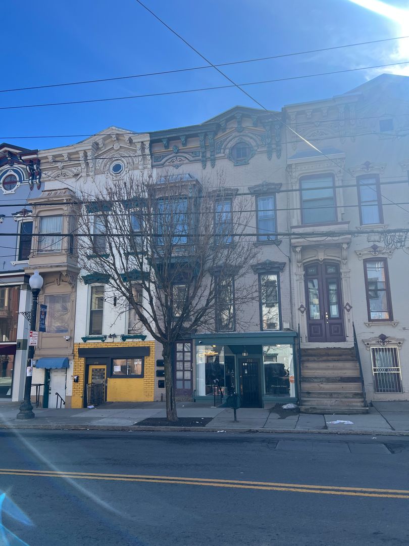 Albany House: 292 Lark St. Apt 2