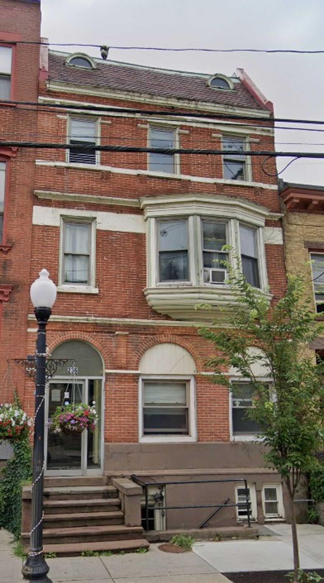 Albany Apartment: 236 Lark Street