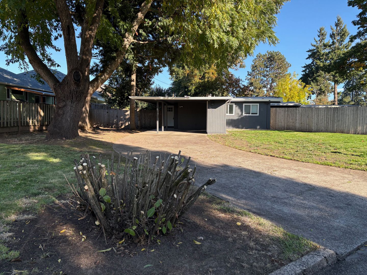 Springfield House: 3337 Raleighwood Ave.