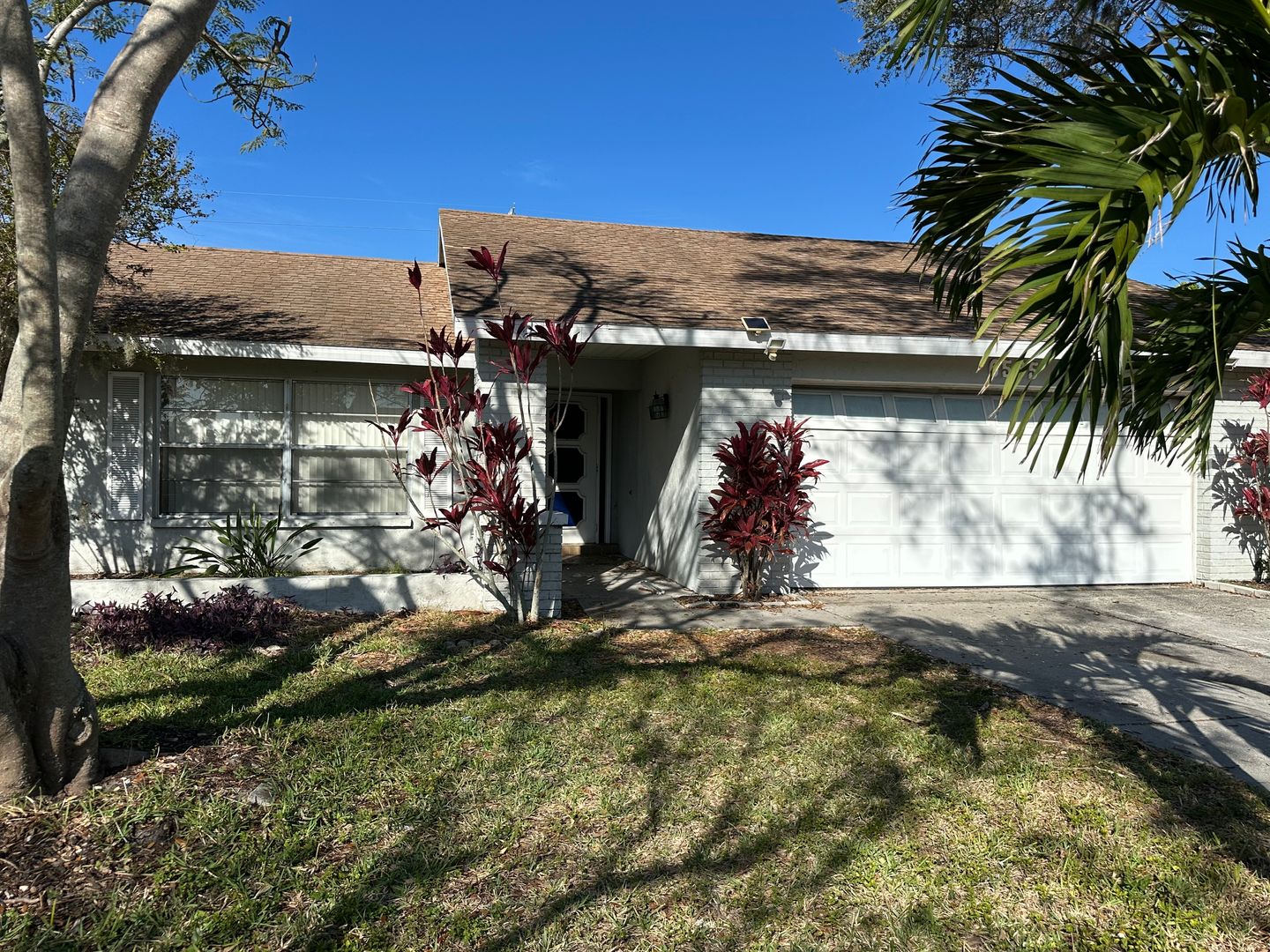 Sarasota House: 6535 Waterford Circle
