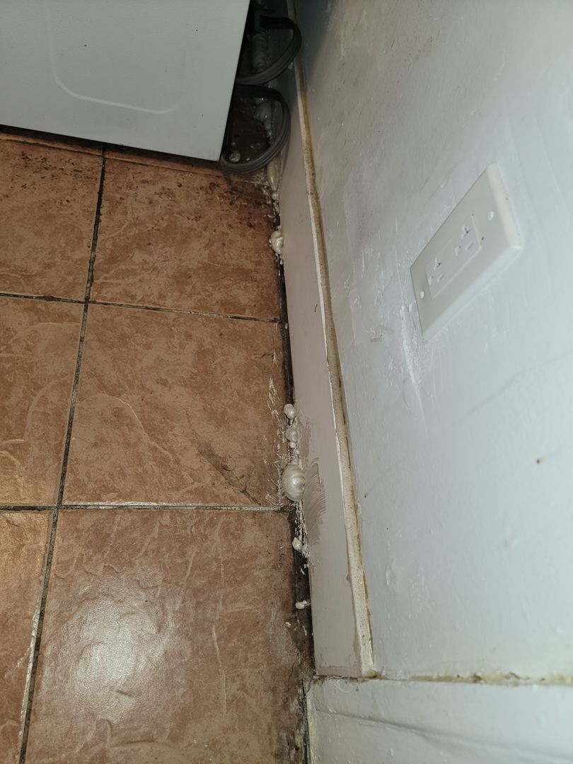 cleveland Apartment: 1185 E 167th Street Cleveland, OH