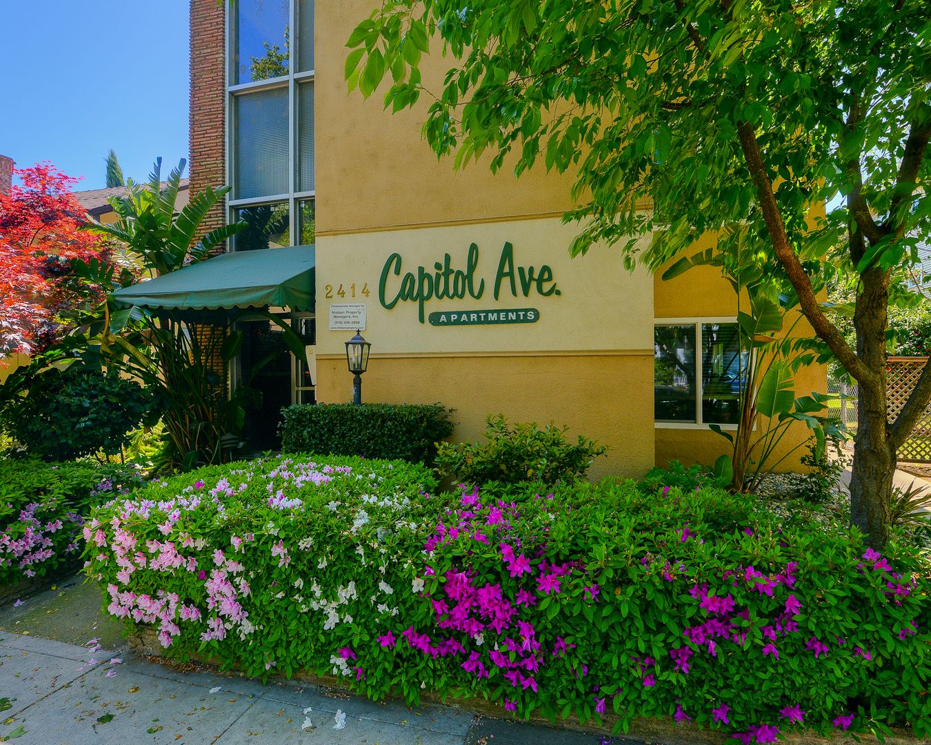 Sacramento Apartment: 2414 Capitol Avenue