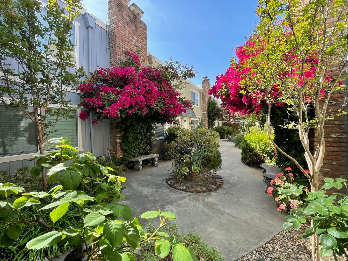 Sacramento Apartment: 2410 S Street