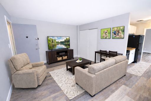 Stunning 1 Bed, 1 Bath Unit - Newly Remodeled with Luxury Finishes! – photo 1