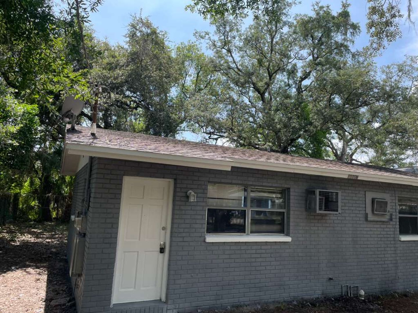 Tampa Apartment: 10106 N Lantana Ave - 10106 N Lantana Ave FL