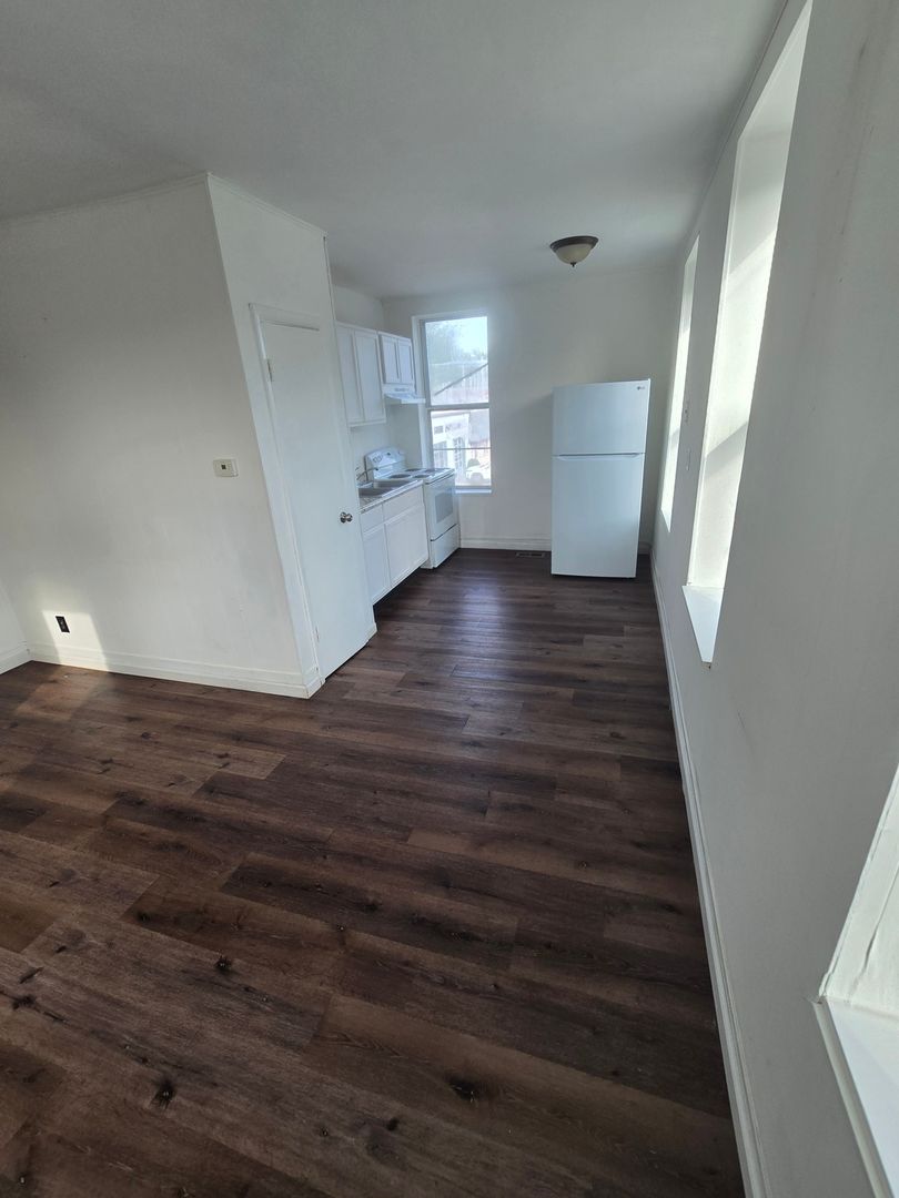 Belleville Townhome: 1223 W Main St