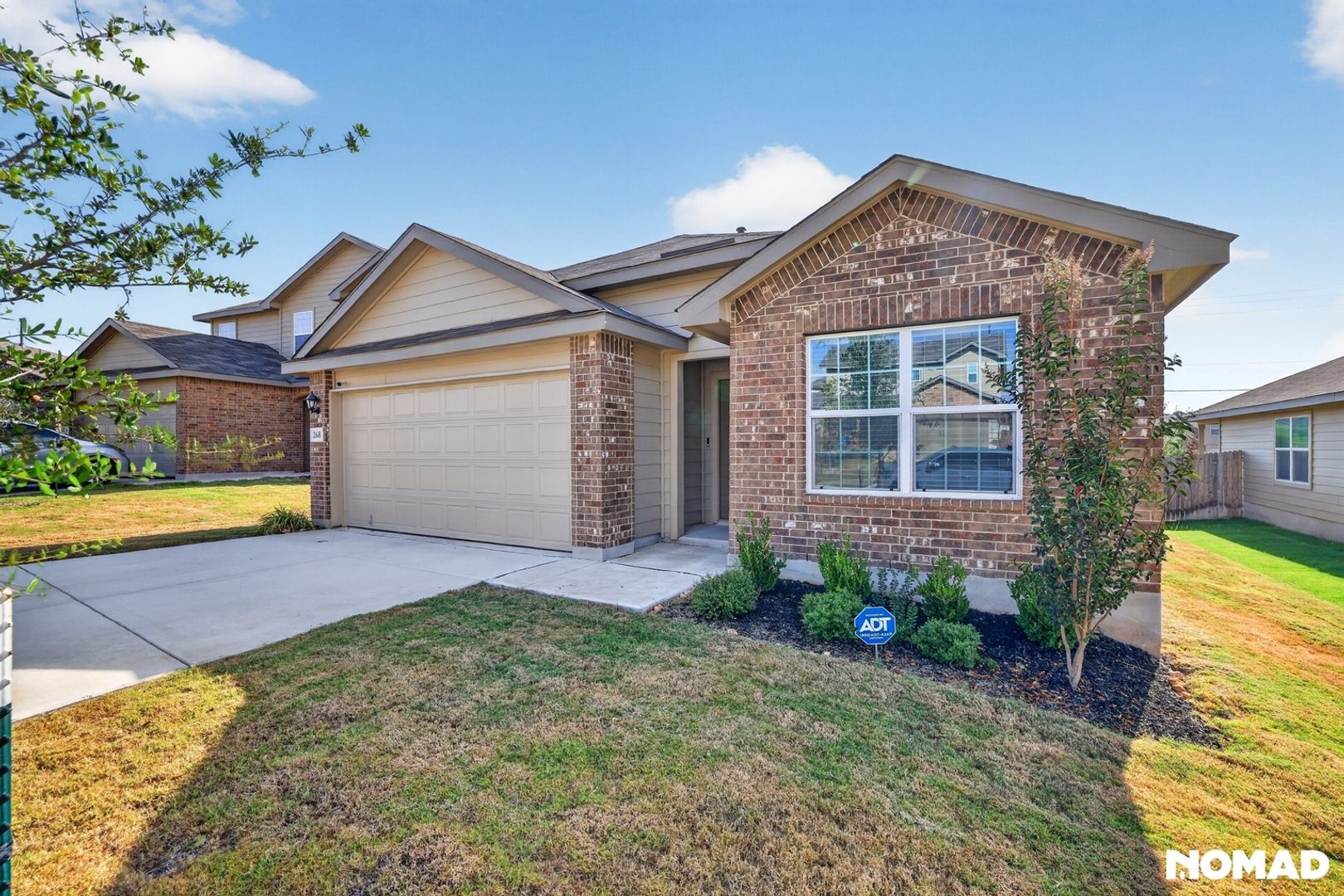 San Antonio House: 268 Squacco Heron