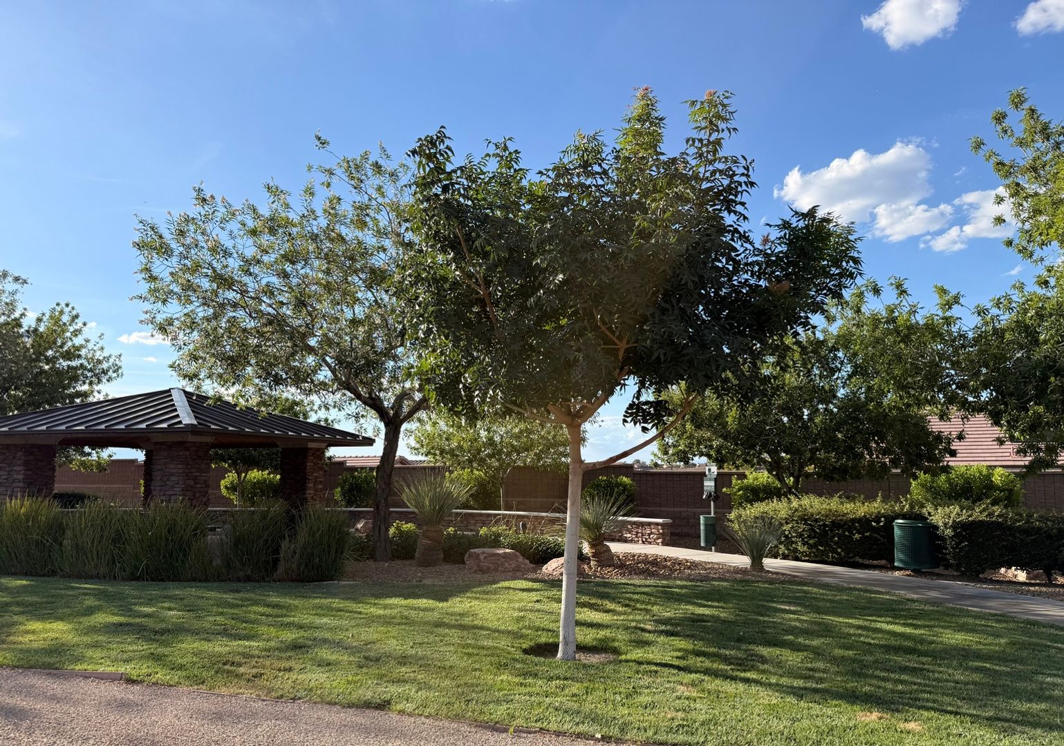 Las Vegas House: 2629 Bechamel Pl