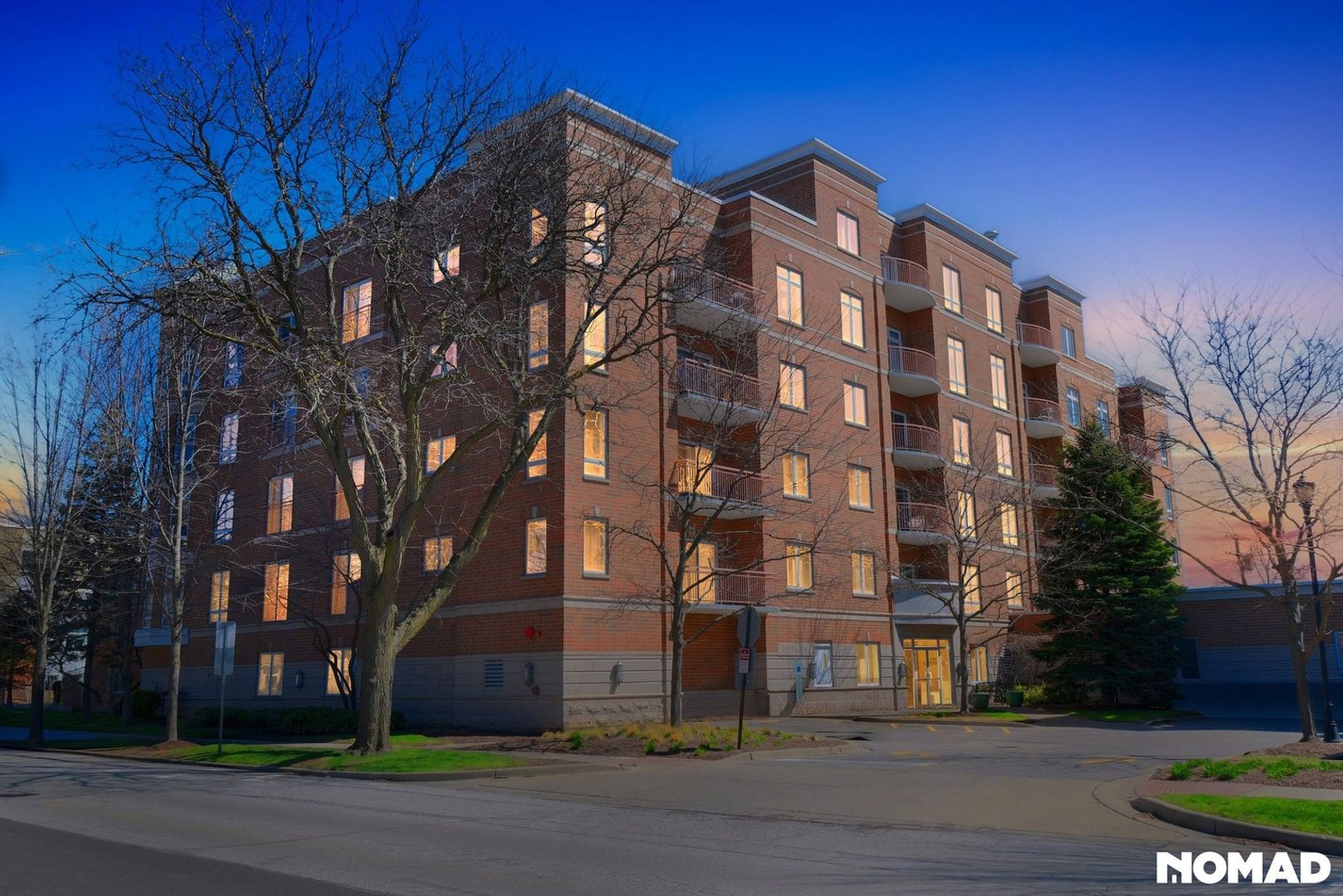 Des Plaines Condo: 787 Graceland Ave