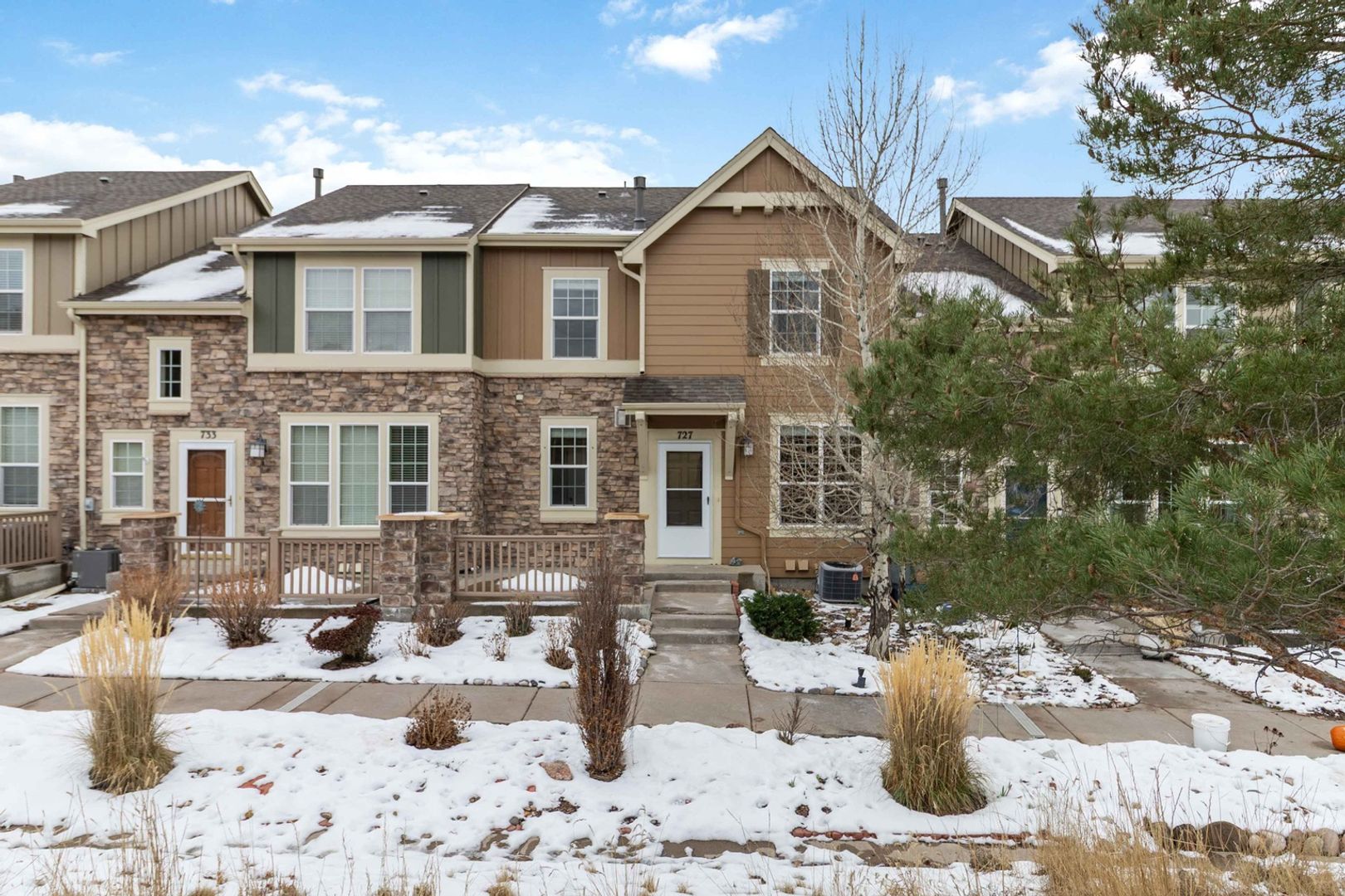 Castle Rock Townhome: 727 Crooked Y Pt