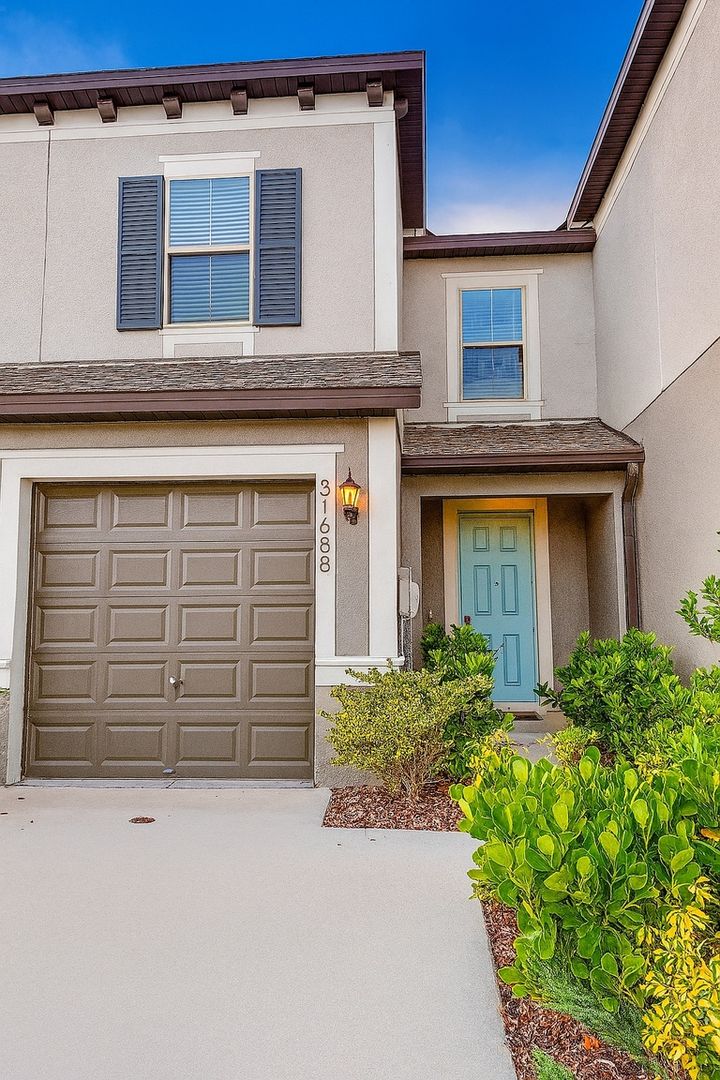 Wesley Chapel Townhome: 31688 Blue Passing Loop