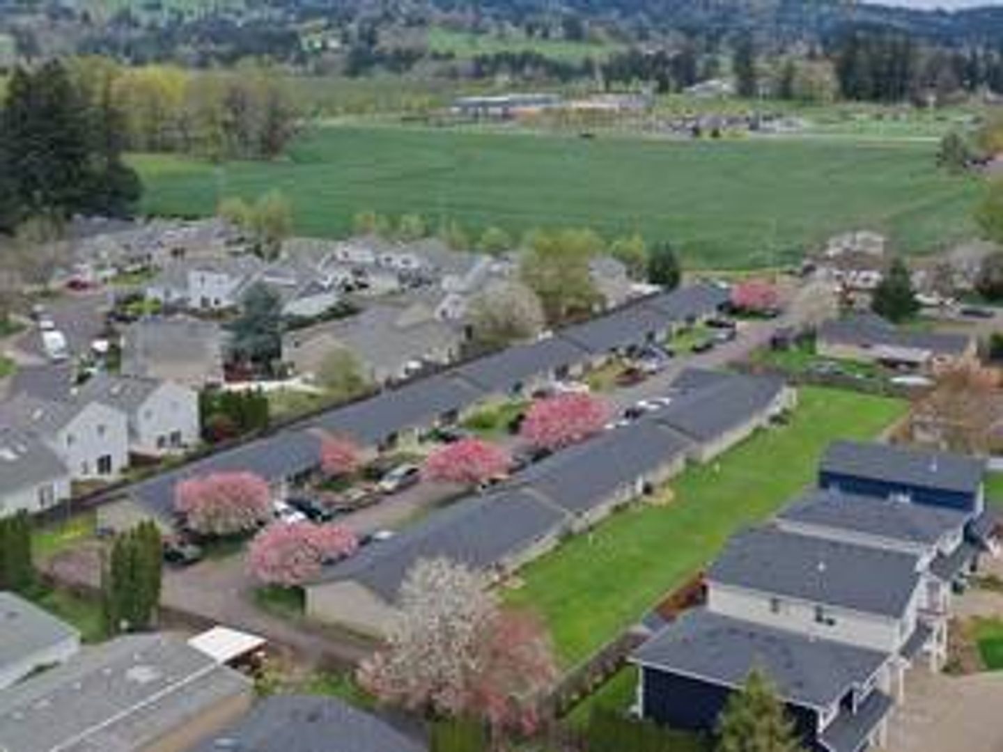 NEWBERG Apartment: 1907 N. COLLEGE ST.