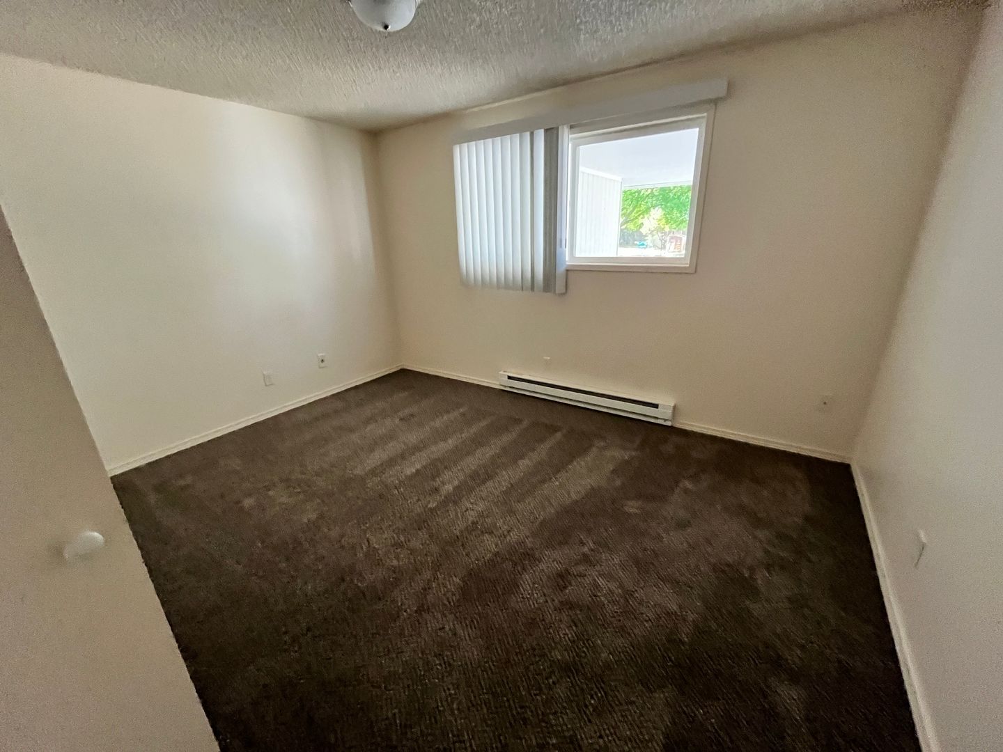 ALBANY Apartment: 1425-1525 TRACY COURT