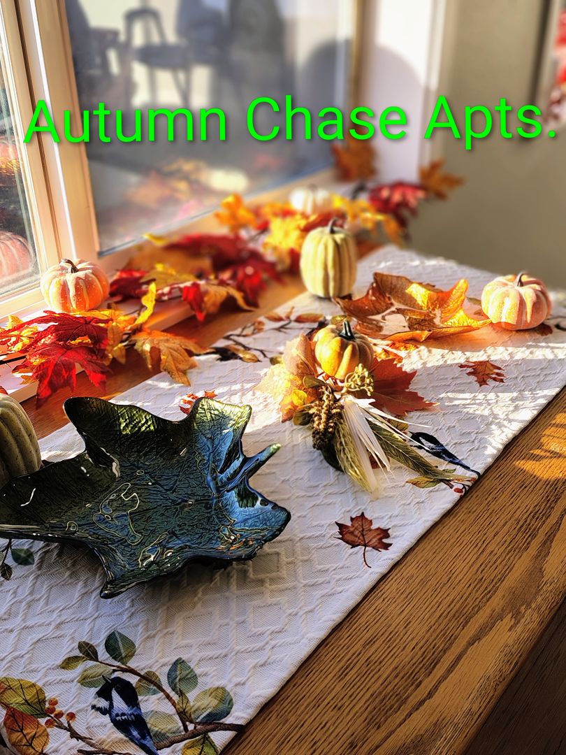 SALEM Apartment: 3211-3342 AUTUMN CHASE NE