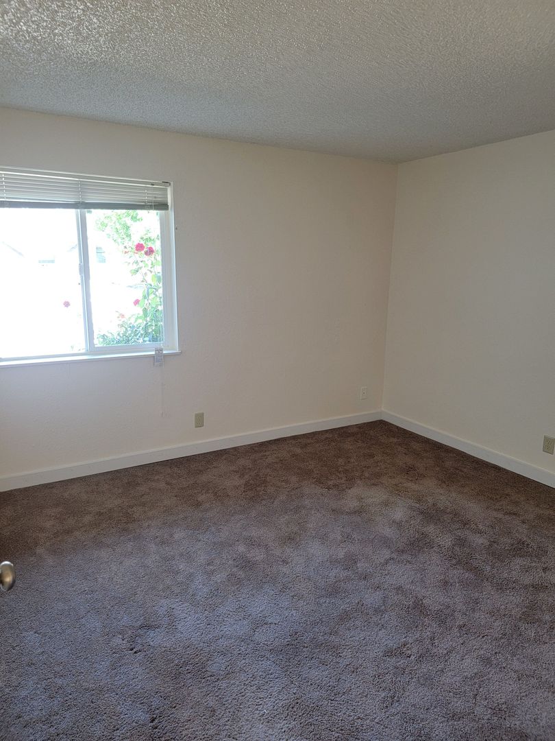 #251 PINE CREST APARTMENTS 4 of 12