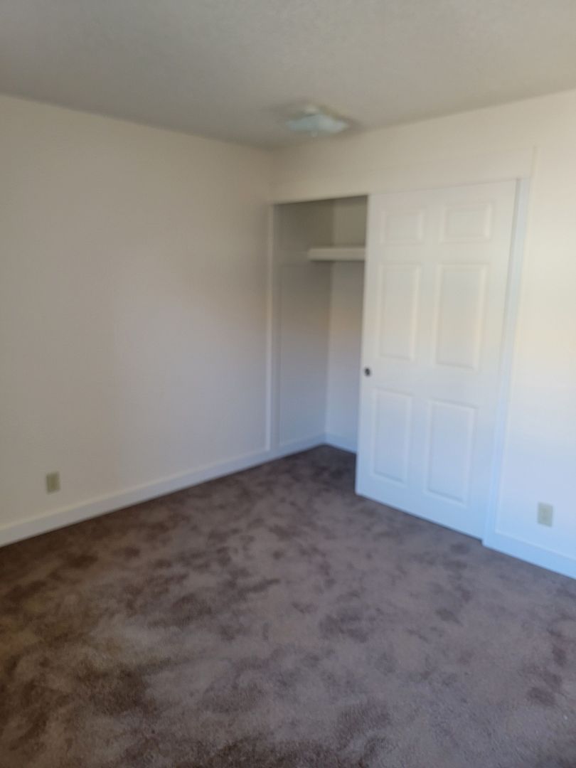 #251 PINE CREST APARTMENTS 2 of 12