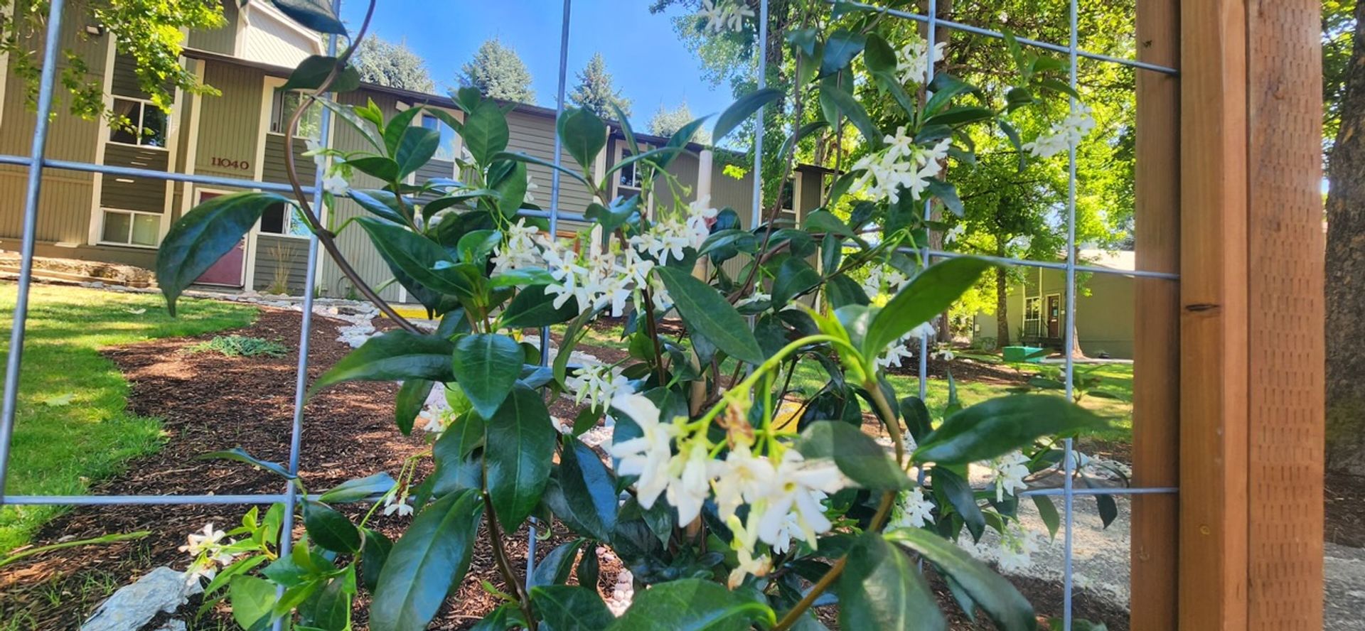 TIGARD Apartment: 11050 SW GAARDE ST