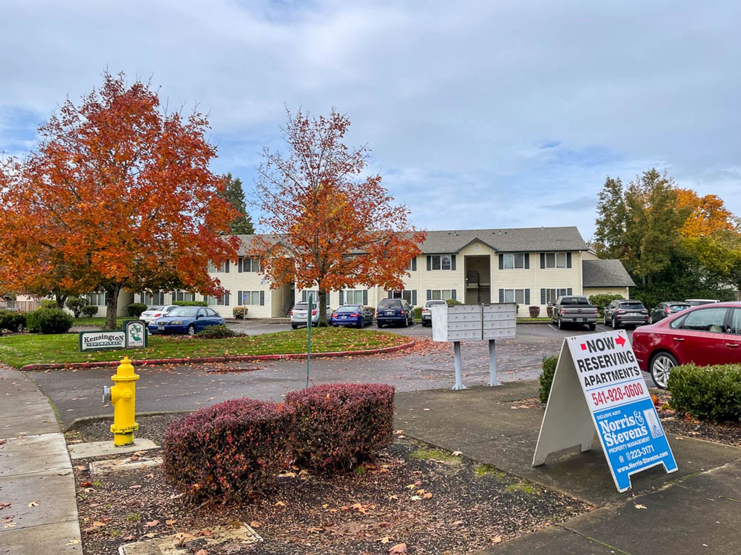 ALBANY Apartment: 1175 Pine Meadow SE