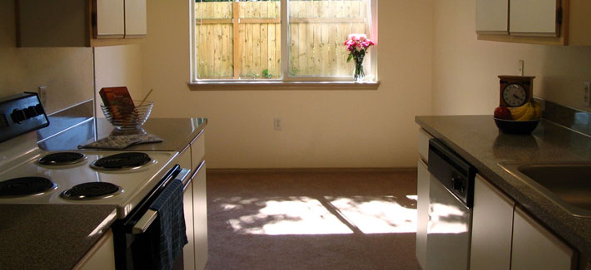 ALBANY Apartment: 1175 Pine Meadow Drive SE