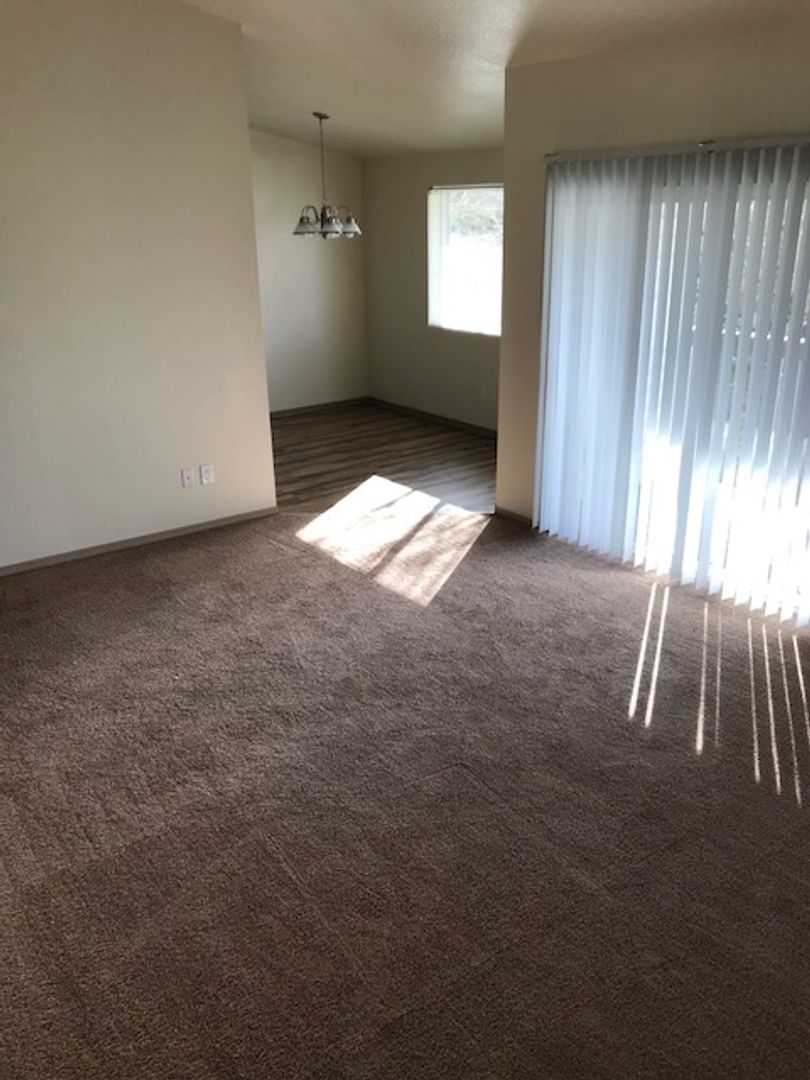 #183 SADDLE CLUB APTS 6 of 67